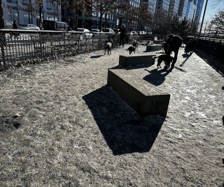 Riverside Park South Dog Run at 66th Street