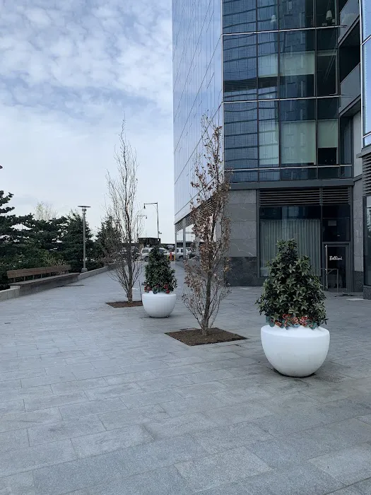 Waterline Square Park Picture 6