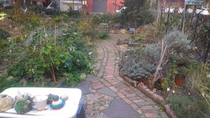 Oasis Garden Picture 4