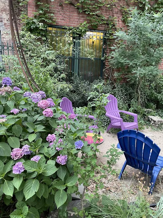 Oasis Garden Picture 5