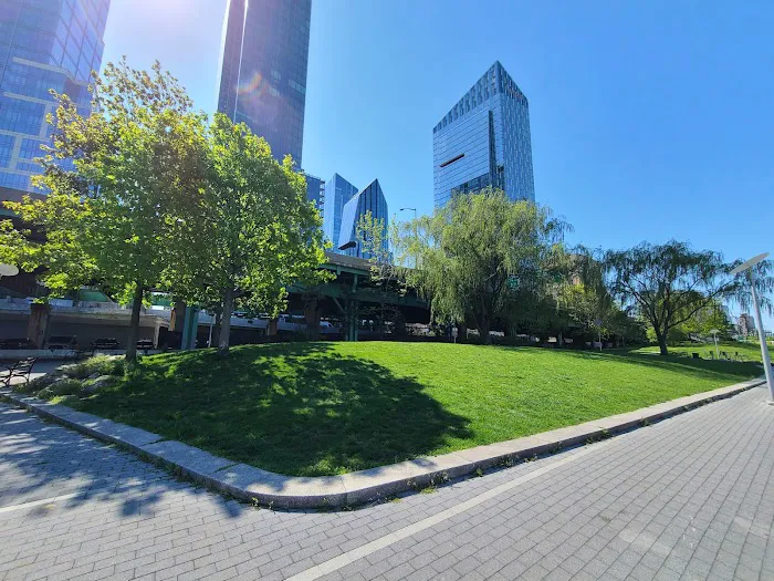 Locomotive Lawn Picture 10