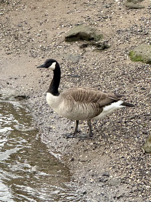 Riverside Park Picture 1