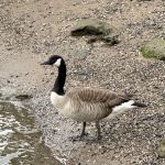 Riverside Park