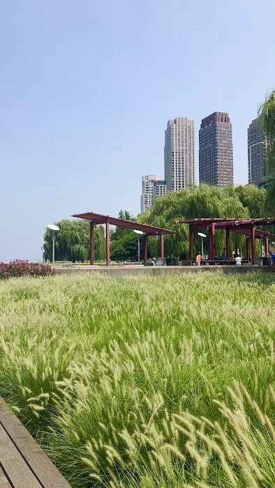 Red Shade Plaza Picture 1