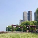 Red Shade Plaza