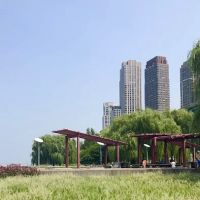 Red Shade Plaza ico