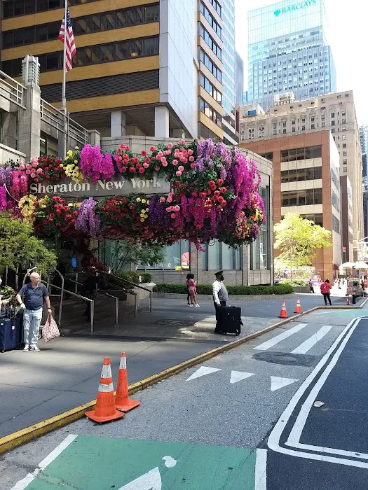 Sheraton New York Times Square Hotel Picture 8