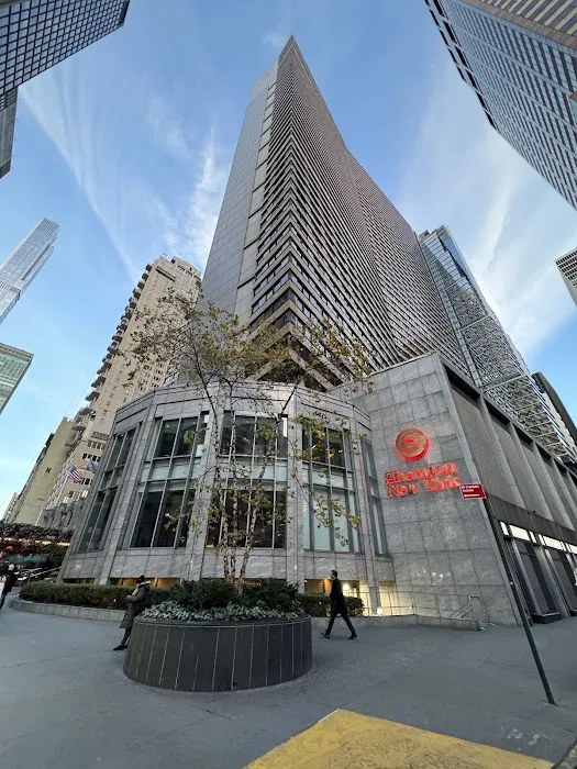 Sheraton New York Times Square Hotel Picture 5