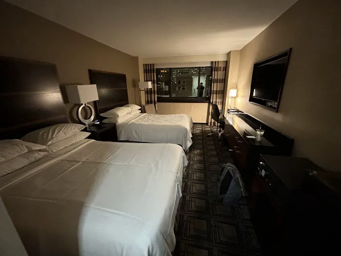Sheraton New York Times Square Hotel Picture 2
