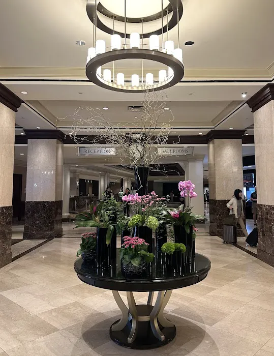 Sheraton Picture 6