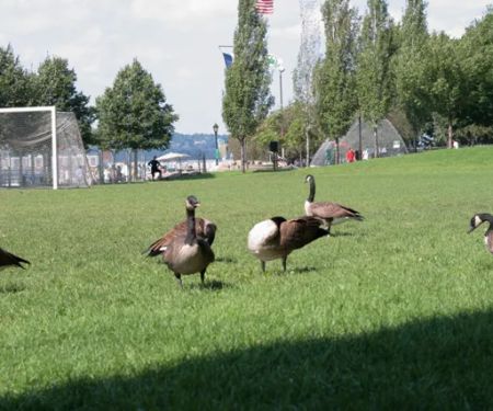 71st Street Riverside Soccer Field