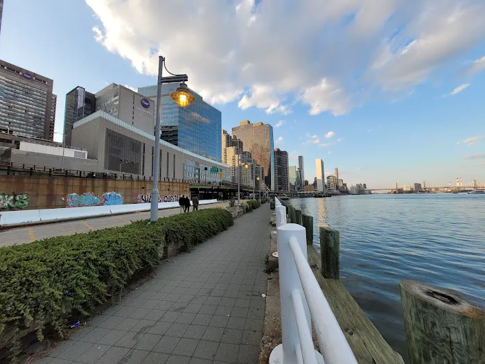East River Platform Picture 2