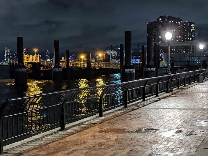 East River Platform Picture 8