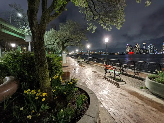 East River Platform Picture 4