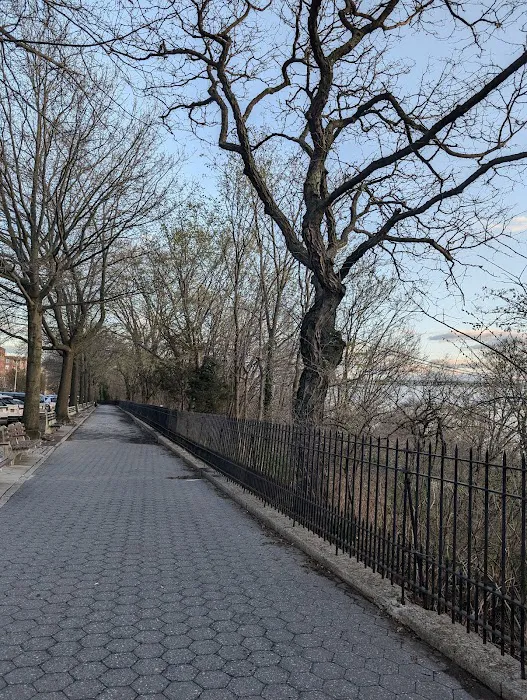 Bay Ridge Park Picture 8