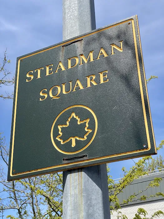 Steadman Square Picture 5