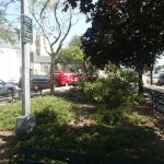 Steadman Square
