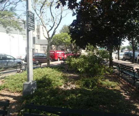 Steadman Square