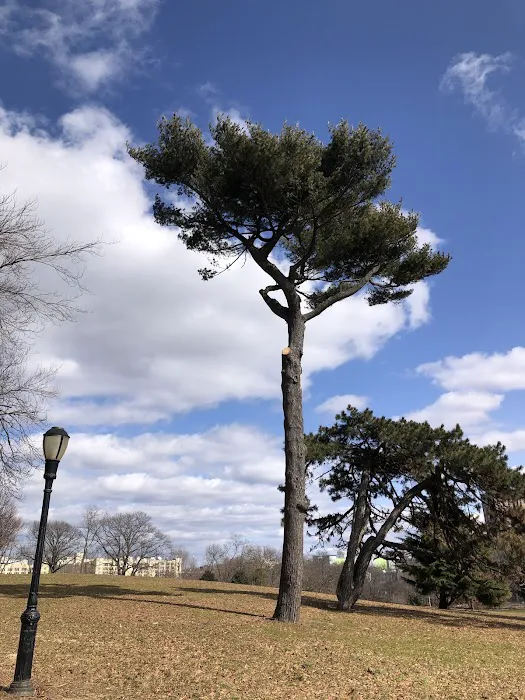 Owl's Head Park Picture 4