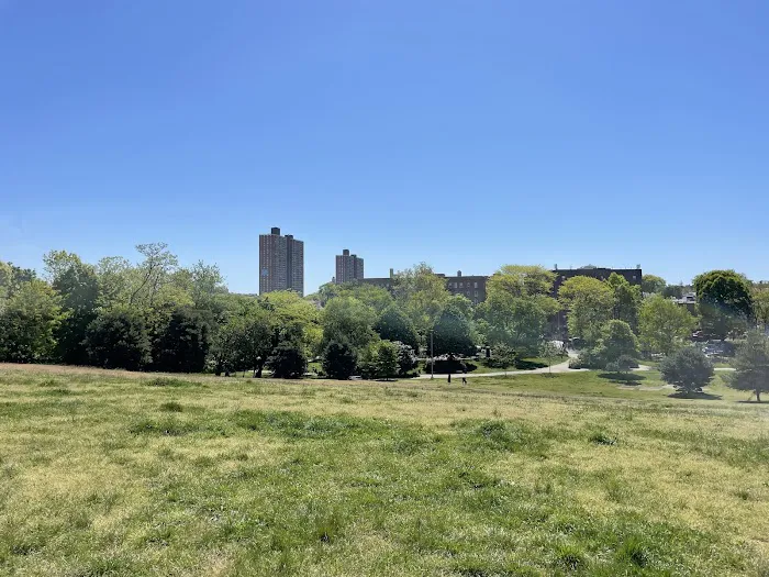 Owl's Head Park Picture 6