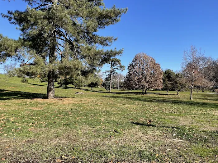 Owl's Head Park Picture 8