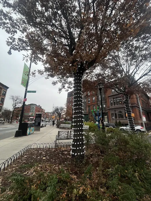 St. Marks Triangle Picture 1