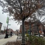 St. Marks Triangle