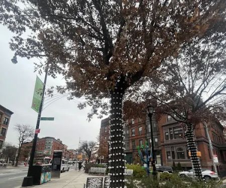 St. Marks Triangle