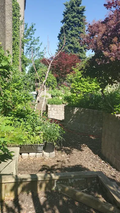 The Transit Garden Picture 4