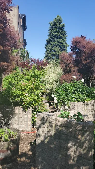 The Transit Garden Picture 5