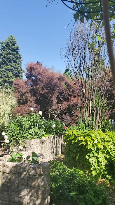 The Transit Garden Picture 8