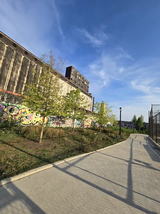 Red Hook Ball Fields 8 Picture 4