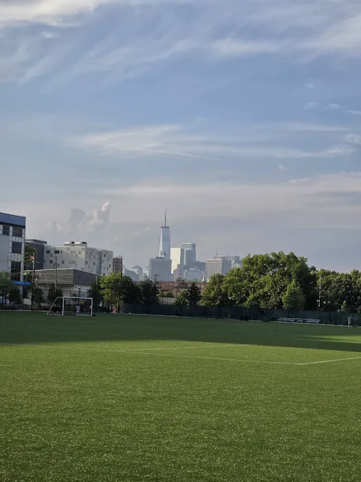 Red Hook Ball Fields 8 Picture 1