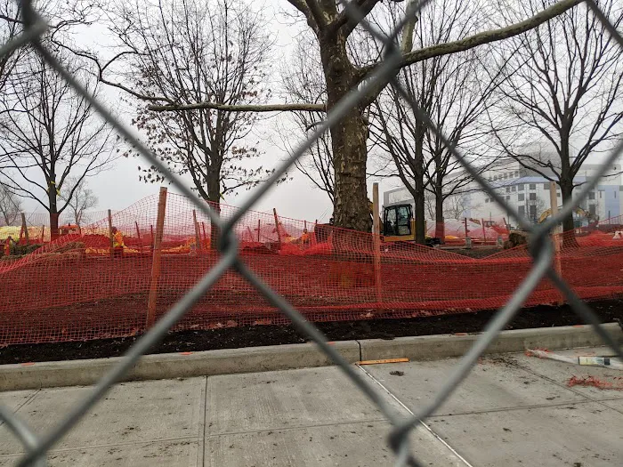 Red Hook Park Picture 8