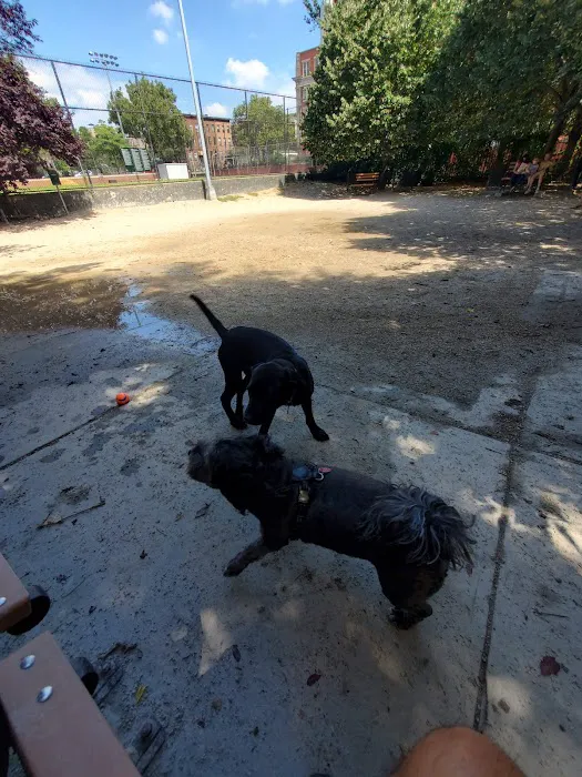 DiMattina Dog Run Picture 9