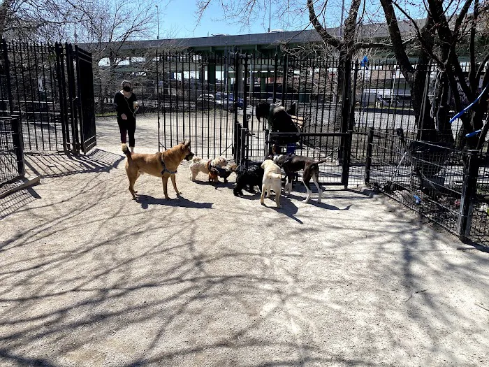 DiMattina Dog Run Picture 10