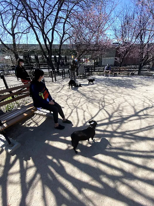 DiMattina Dog Run Picture 7