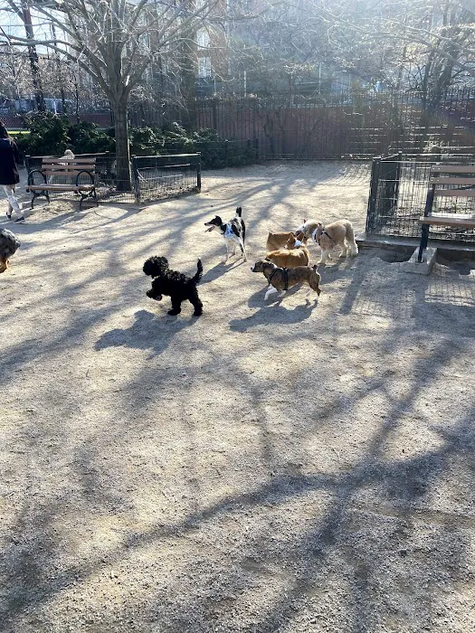 DiMattina Dog Run Picture 6