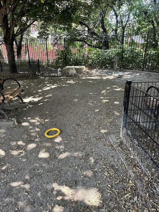 DiMattina Dog Run Picture 4