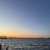 6833 Shore Rd ico