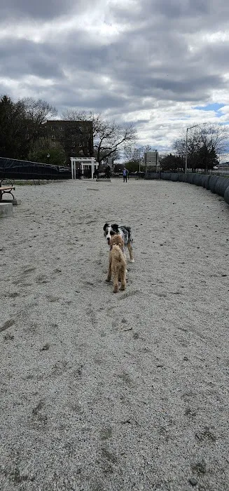 Owl's Head Park Dog Run Picture 4