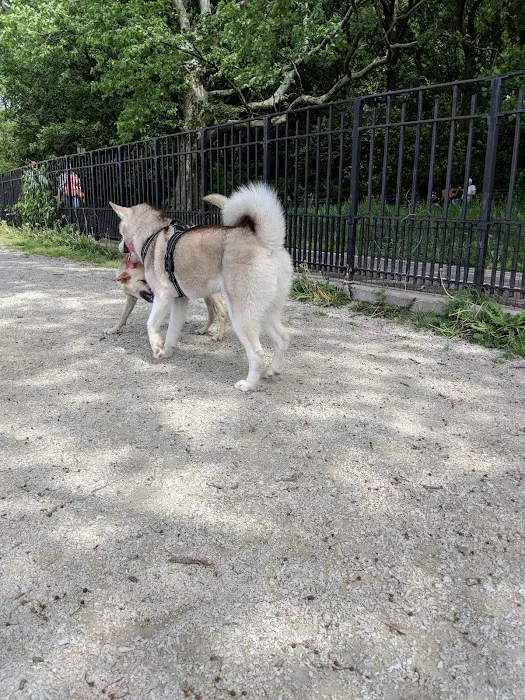 Owl's Head Park Dog Run Picture 8