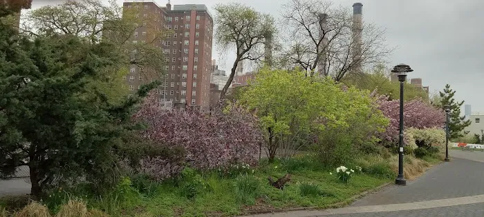 East River Promenade Picture 5