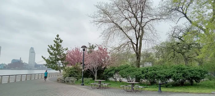 East River Promenade Picture 4