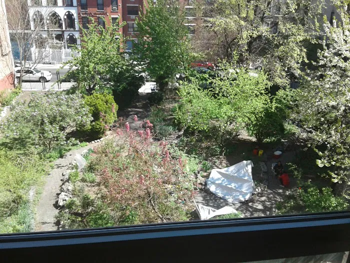 Orchard Alley Picture 10