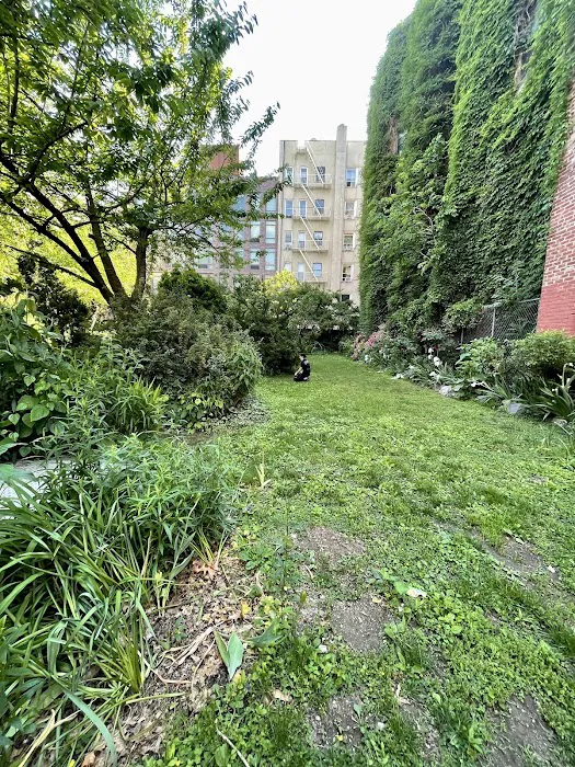 Orchard Alley Picture 7