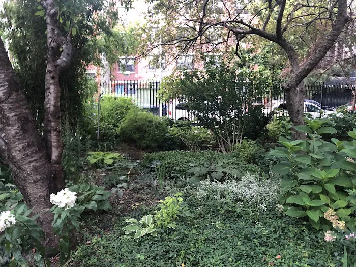Orchard Alley Picture 2