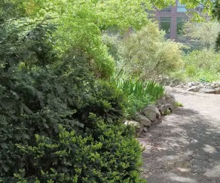 Orchard Alley