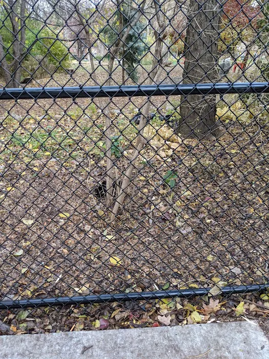 El Jardin del Paraiso Picture 1