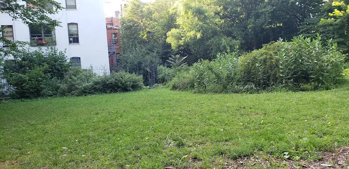 El Jardin del Paraiso Picture 3